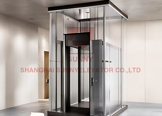 2-4 piani 300KG ascensore domestico lusso osservazione ascensore residenziale