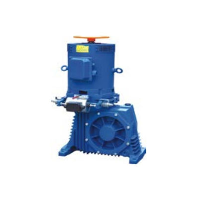 Freno AC220V per azionamento di scale mobili E-Drive Momentum e GlideStream Drive