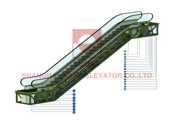 600 mm/800 mm/1000 mm scale mobili personalizzate all'aperto