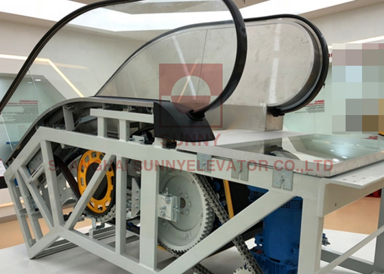 800 mm Escalatore mobile per passeggeri all'interno/all'esterno/semi-esterno