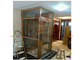 400kg elevatore domestico residenziale silenzioso idraulico del carico SUS304 per la Camera della villa