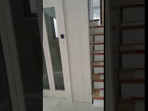 Ascensore dell'elevatore del passeggero dell'edificio per uffici con l'elevatore automatico del dispositivo di salvataggio