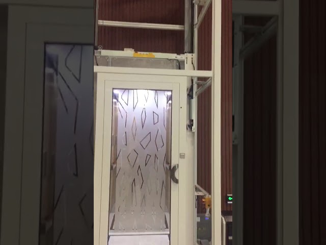 elevatore ad alta velocità stabile 1.0m/S per la certificazione del CE dell'elevatore del centro commerciale