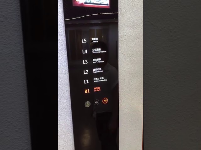 400kg elevatore domestico interno panoramico della singola porta LMR elegante
