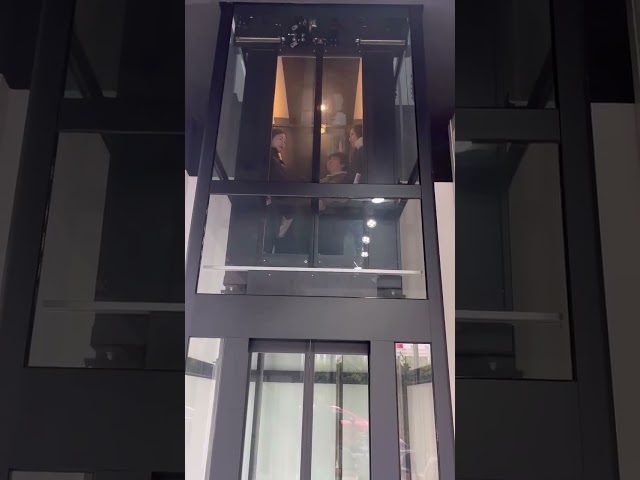 Elevatore a trazione per ascensore residenziale piccolo da 400 kg con sistema MONARCH