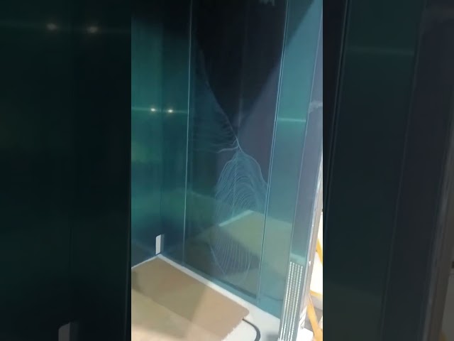 rendimento elevato del locale macchine 1250kg dell'elevatore Gearless di osservazione